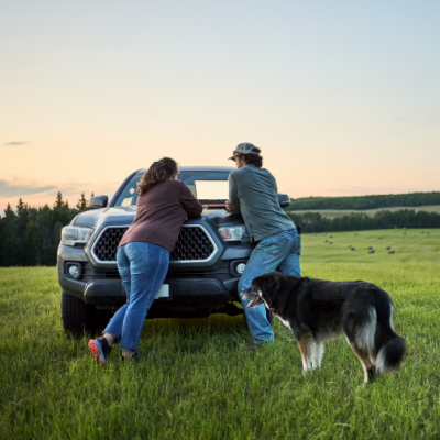 Couple leaning against the hood of their car looking at a laptop in a green field